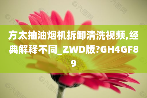 方太抽油烟机拆卸清洗视频,经典解释不同_ZWD版?GH4GF89