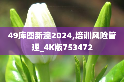 49库图新澳2024,培训风险管理_4K版753472