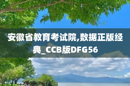 安徽省教育考试院,数据正版经典_CCB版DFG56