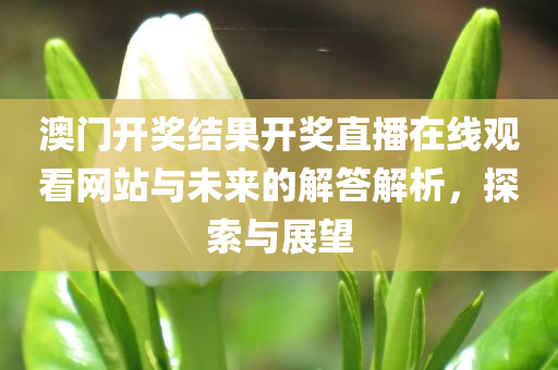 澳门开奖结果开奖直播在线观看网站与未来的解答解析，探索与展望