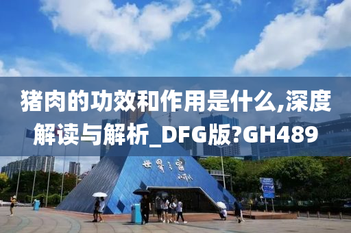 猪肉的功效和作用是什么,深度解读与解析_DFG版?GH489