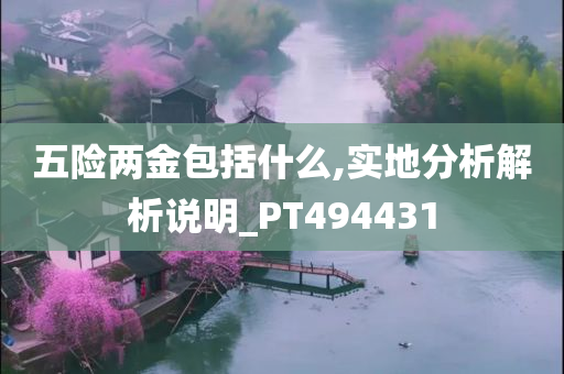 五险两金包括什么,实地分析解析说明_PT494431