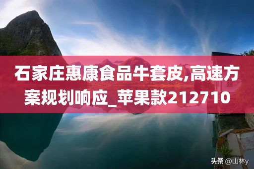 石家庄惠康食品牛套皮,高速方案规划响应_苹果款212710