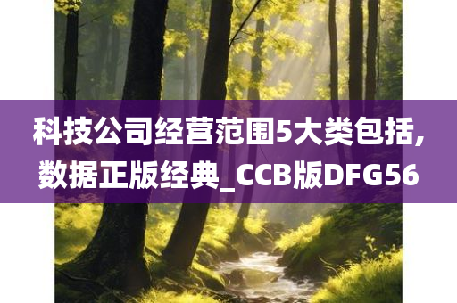 科技公司经营范围5大类包括,数据正版经典_CCB版DFG56