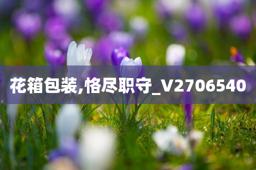 花箱包装,恪尽职守_V2706540