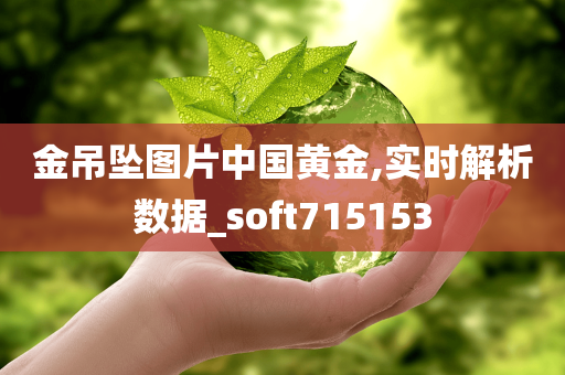 金吊坠图片中国黄金,实时解析数据_soft715153