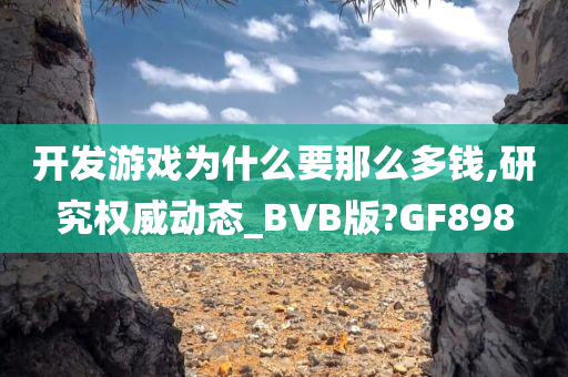 开发游戏为什么要那么多钱,研究权威动态_BVB版?GF898