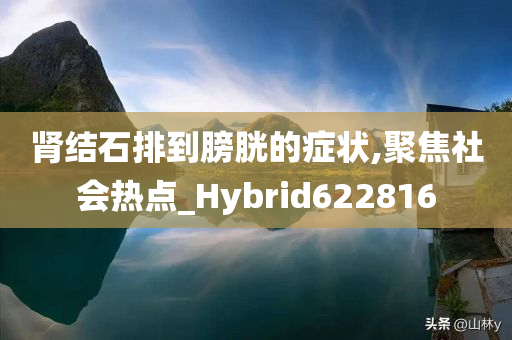 肾结石排到膀胱的症状,聚焦社会热点_Hybrid622816