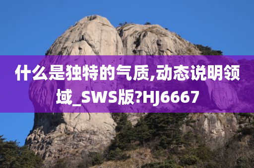 什么是独特的气质,动态说明领域_SWS版?HJ6667