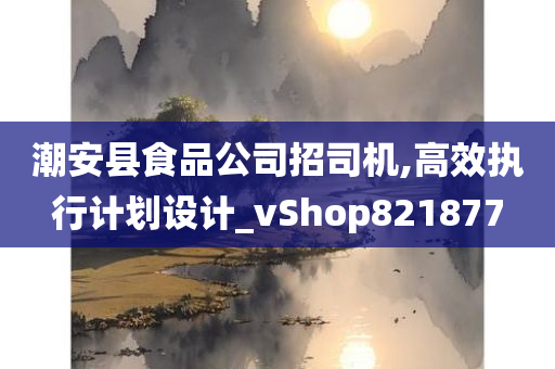 潮安县食品公司招司机,高效执行计划设计_vShop821877