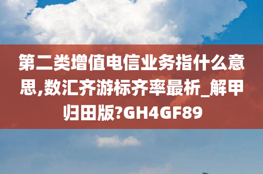 第二类增值电信业务指什么意思,数汇齐游标齐率最析_解甲归田版?GH4GF89