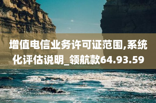 增值电信业务许可证范围,系统化评估说明_领航款64.93.59