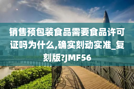 销售预包装食品需要食品许可证吗为什么,确实刻动实准_复刻版?JMF56