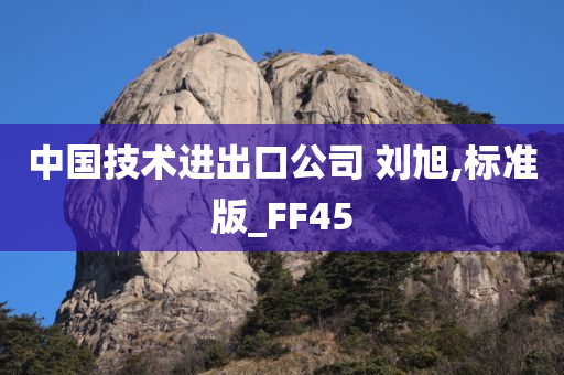 中国技术进出口公司 刘旭,标准版_FF45