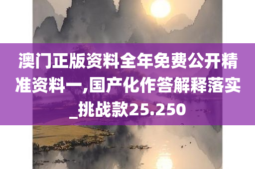 澳门正版资料全年免费公开精准资料一,国产化作答解释落实_挑战款25.250