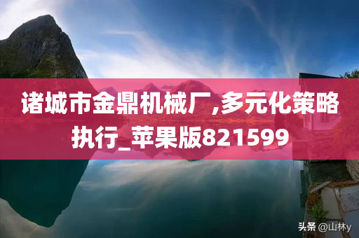 诸城市金鼎机械厂,多元化策略执行_苹果版821599