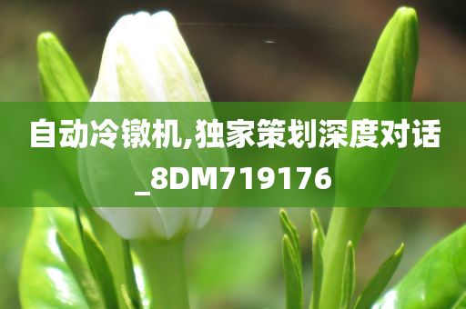 自动冷镦机,独家策划深度对话_8DM719176