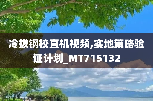 冷拔钢校直机视频,实地策略验证计划_MT715132