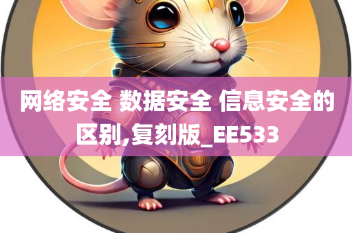 网络安全 数据安全 信息安全的区别,复刻版_EE533