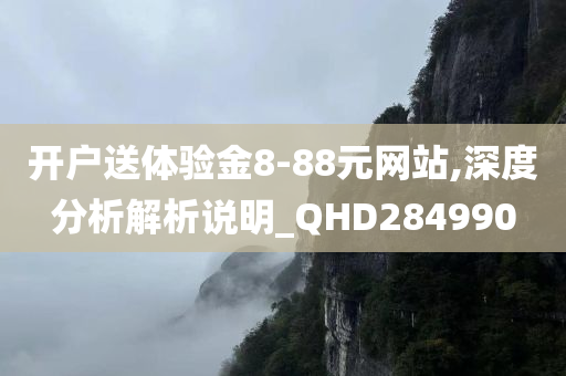 开户送体验金8-88元网站,深度分析解析说明_QHD284990