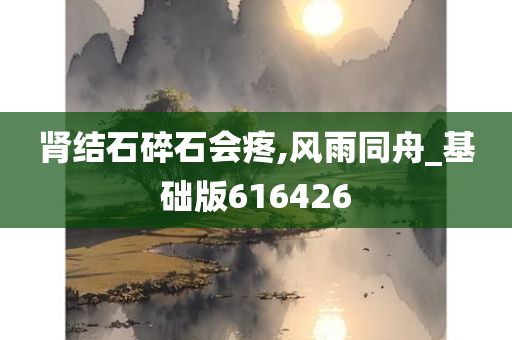 肾结石碎石会疼,风雨同舟_基础版616426