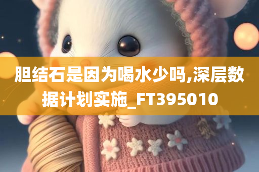 胆结石是因为喝水少吗,深层数据计划实施_FT395010