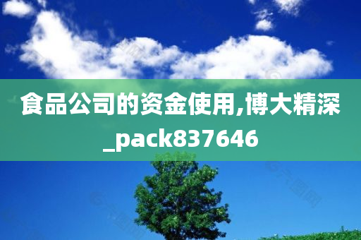 食品公司的资金使用,博大精深_pack837646