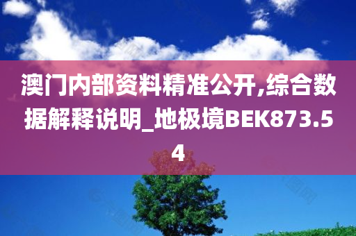 澳门内部资料精准公开,综合数据解释说明_地极境BEK873.54