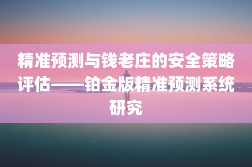 精准预测与钱老庄的安全策略评估——铂金版精准预测系统研究