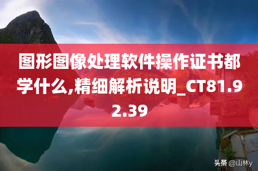 图形图像处理软件操作证书都学什么,精细解析说明_CT81.92.39