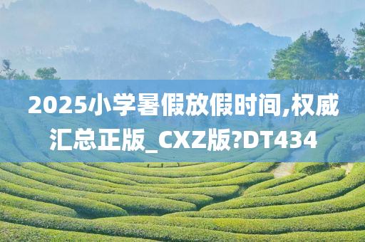 2025小学暑假放假时间,权威汇总正版_CXZ版?DT434