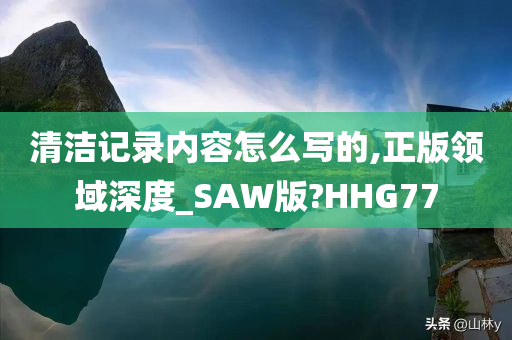 清洁记录内容怎么写的,正版领域深度_SAW版?HHG77