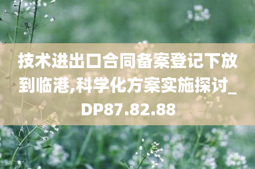 技术进出口合同备案登记下放到临港,科学化方案实施探讨_DP87.82.88