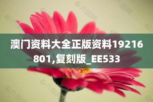 澳门资料大全正版资料19216801,复刻版_EE533