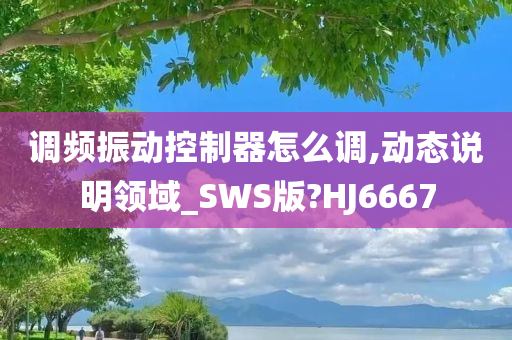 调频振动控制器怎么调,动态说明领域_SWS版?HJ6667