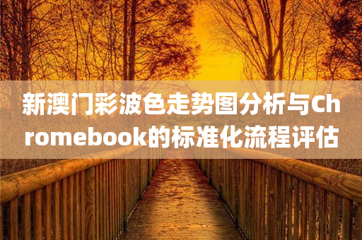 新澳门彩波色走势图分析与Chromebook的标准化流程评估