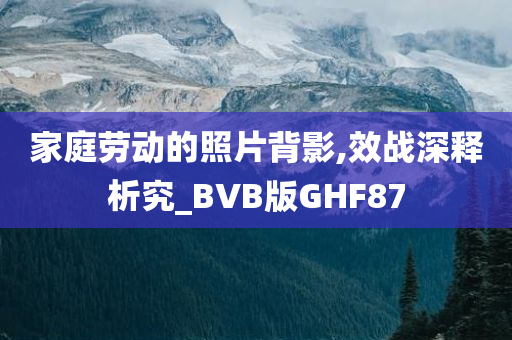 家庭劳动的照片背影,效战深释析究_BVB版GHF87