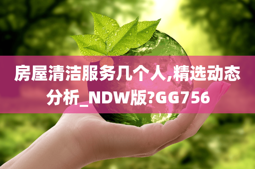 房屋清洁服务几个人,精选动态分析_NDW版?GG756