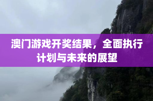 澳门游戏开奖结果，全面执行计划与未来的展望