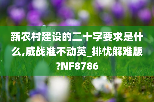 新农村建设的二十字要求是什么,威战准不动英_排忧解难版?NF8786