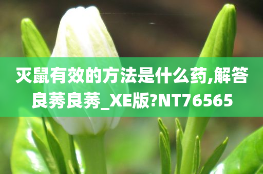 灭鼠有效的方法是什么药,解答良莠良莠_XE版?NT76565