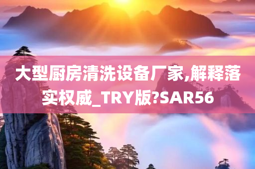 大型厨房清洗设备厂家,解释落实权威_TRY版?SAR56