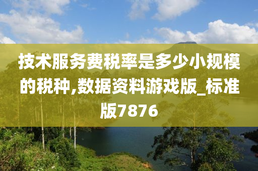 技术服务费税率是多少小规模的税种,数据资料游戏版_标准版7876