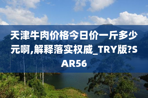 天津牛肉价格今日价一斤多少元啊,解释落实权威_TRY版?SAR56