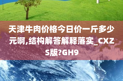 天津牛肉价格今日价一斤多少元啊,结构解答解释落实_CXZS版?GH9