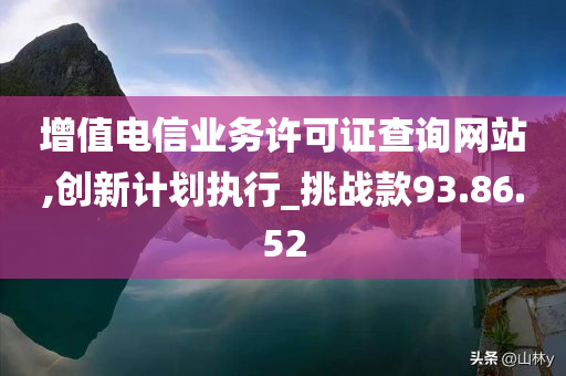 增值电信业务许可证查询网站,创新计划执行_挑战款93.86.52