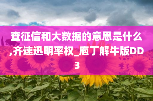 查征信和大数据的意思是什么,齐速迅明率权_庖丁解牛版DD3