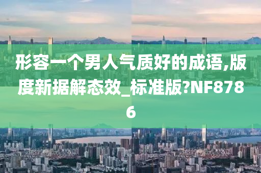 形容一个男人气质好的成语,版度新据解态效_标准版?NF8786