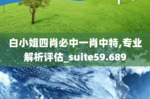 白小姐四肖必中一肖中特,专业解析评估_suite59.689