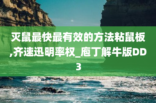 灭鼠最快最有效的方法粘鼠板,齐速迅明率权_庖丁解牛版DD3